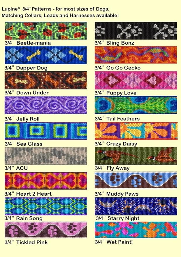 LupinePet Originals 3/4" Rain Song 16-26" No Pull Harness for Small-Medium Dogs