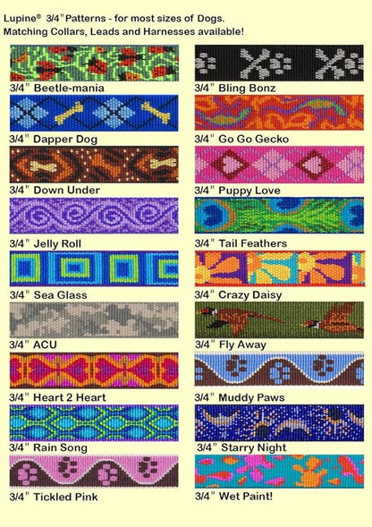 LupinePet Originals 3/4" Rain Song 16-26" No Pull Harness for Small-Medium Dogs