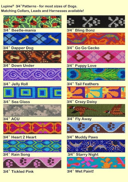 LupinePet Originals 3/4" Crazy Daisy 16-26" No Pull Harness for Small-Medium Dogs