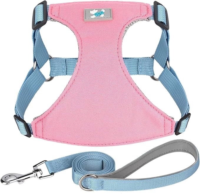 Beirui Small Dog Harness and Leash Set, No Pull Step-in Harness for Puppy, Lightweight Air Mesh Pet Harness for Small Dogs (Pink XS)