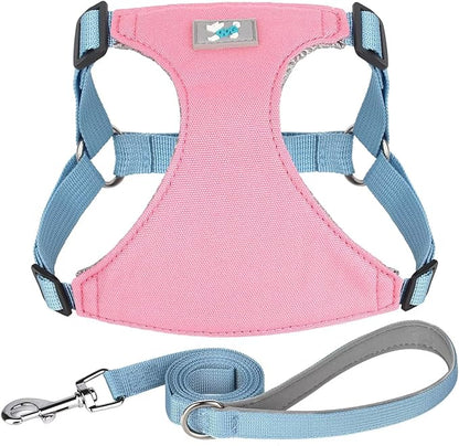 Beirui Small Dog Harness and Leash Set, No Pull Step-in Harness for Puppy, Lightweight Air Mesh Pet Harness for Small Dogs (Pink XS)