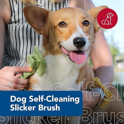 Coastal Pet Safari Dog Self-Cleaning Slicker Brush - Dog Deshedding Brush - Prevents Mats and Tangled Hair - For Dogs with Short or Long Hair - Medium - 4.25" x 4.06"