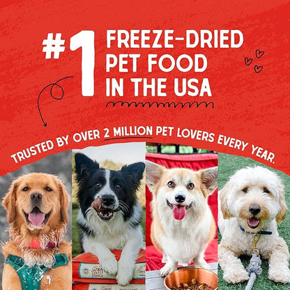 Stella & Chewy's Freeze Dried Raw Dandy Lamb Meal Mixer – Dog Food Topper for Small & Large Breeds – Grain Free, Protein Rich Recipe – 3.5 oz Bag