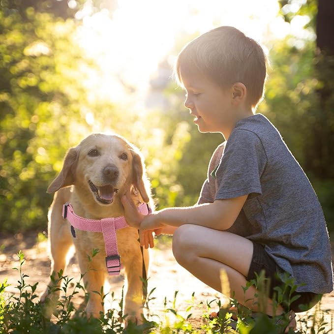 Dog Harness and Leash Set for Medium Dogs Soft Natural Bamboo Fabric, No Pull Dog Harness, Step-in Adjustable Dog Leash, Dog Harness and Leash Set for Medium Dogs-Pink