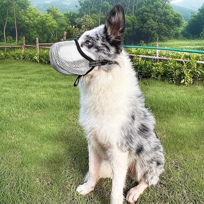 Large Dog Muzzle, Muzzle for Large Dogs to Prevent Eating/Chewing/Biting, Breathable Reflective Adjustable Medium Dog Accessories Dog Muzzle (Grey, XL)