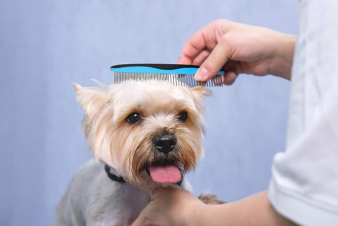 Pets First 2 Pack Dog Comb Small & Large PET Comb for Small & Large Breeds & Areas. Premium Anti-Slip Comfort Grip Ergonomic Handle for Your Dog & Cat with Durable Stainless-Steel