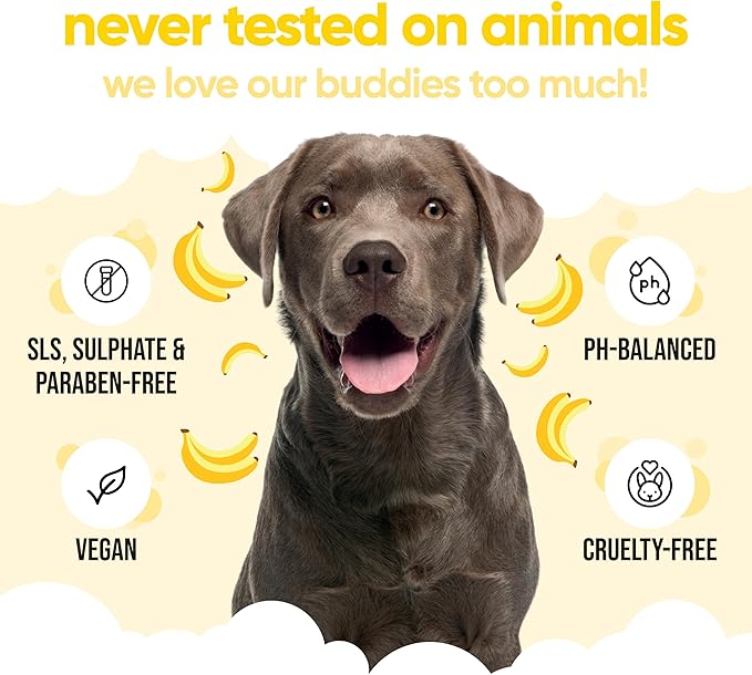 Banana Dog Shampoo by Buddycare | Deep Cleansing Shampoo for Dogs | Banana Scented | with Aloe Vera and Pro Vitamin B5 (16.9oz)