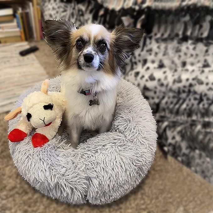 nononfish Dog Bed for Small Dogs，Gray Cute Plush Dog Bed ，19 inches Anti Anxiety Puppy Bed Washable，Machine Washable Fits up to 15 lbs Pets Beds for Small Dog.