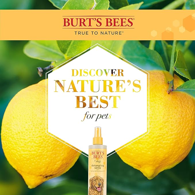 Burt's Bees for Pets Detangling Spray for Dogs with Lemon and Linseed Oil, 99.7% Natural Origin Formulas, Waterless Canine Shampoo - Gentle Dry Cleanser for Pups 10 oz