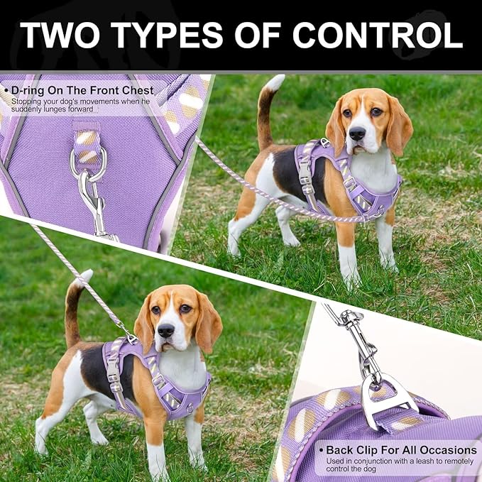 No Pull Dog Harness and Leash Set,Reflective Dog Harness with Easy Control Soft Handle,Adjustable and Comfortable for Easy Walking,Fit Small Medium Large Breed Dogs,Purple,S