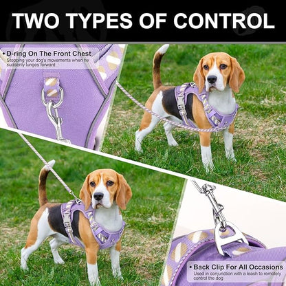 No Pull Dog Harness and Leash Set,Reflective Dog Harness with Easy Control Soft Handle,Adjustable and Comfortable for Easy Walking,Fit Small Medium Large Breed Dogs,Purple,S
