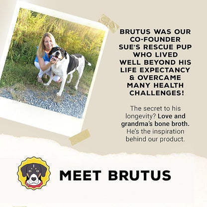 Brutus Broth Instant On The Go Vegetable Powder for Dogs - Vegetable Powder with Omegas 3, 6 & 9 & Turmeric - Human Grade Dog Food Toppers for Dry Food & Picky Eaters - 10 Stick (Salmon Flavor)