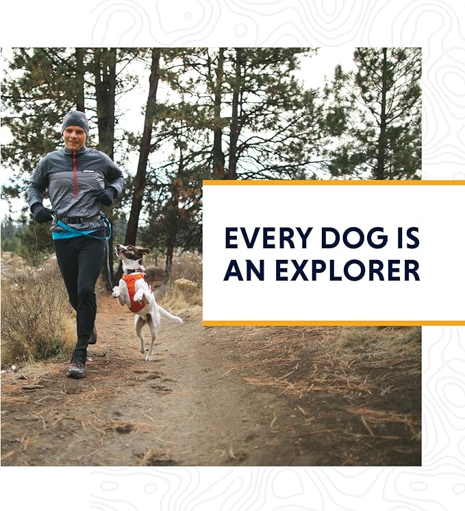 Ruffwear, Hi & Light, Everyday Lightweight Dog Harness, Trail Running, Walking, Hiking, All-Day Wear, Twilight Gray, X-Small