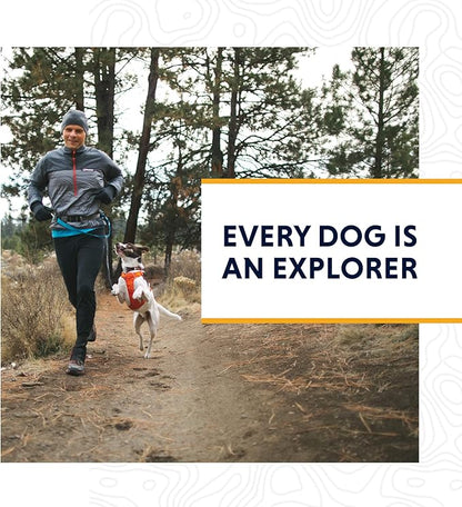 Ruffwear, Hi & Light, Everyday Lightweight Dog Harness, Trail Running, Walking, Hiking, All-Day Wear, Twilight Gray, X-Small