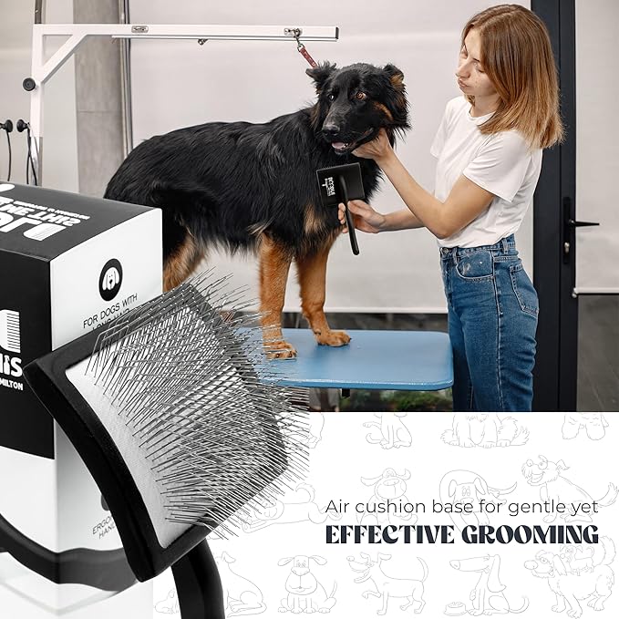 Slicker Brush for Goldendoodles and Long Haired Dogs Black Finish Long Stainless Steel Pins for Detangling and DeMatting Grooming Tool for Home by Doodle Me This Kingston and Hamilton