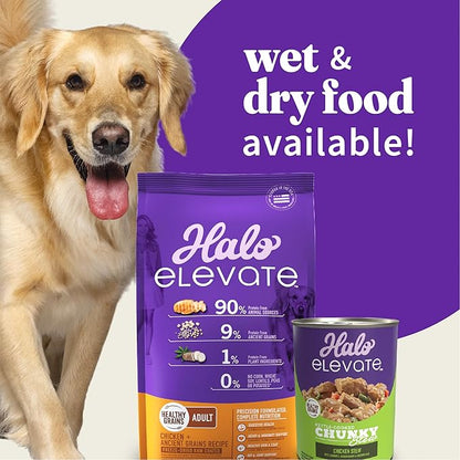 HALO Elevate Dry Dog Food, Healthy Grains Chicken Recipe, 3.5lb