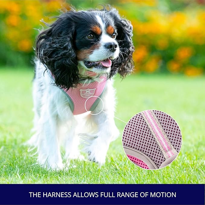 HUGO & HUDSON Dog Harness No-Pull Pet Harness Adjustable Quick Dry Mesh Padded Vest, Pink, XS