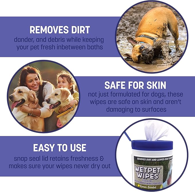 TMD Healthcare WETPET Wipes for Dogs, Lemon Scented, Grooming Wipes Remove Dirt & Grime, Deodorizing Easy to Use for Dogs & Puppies, Safe on Skin and Fur Single Pack