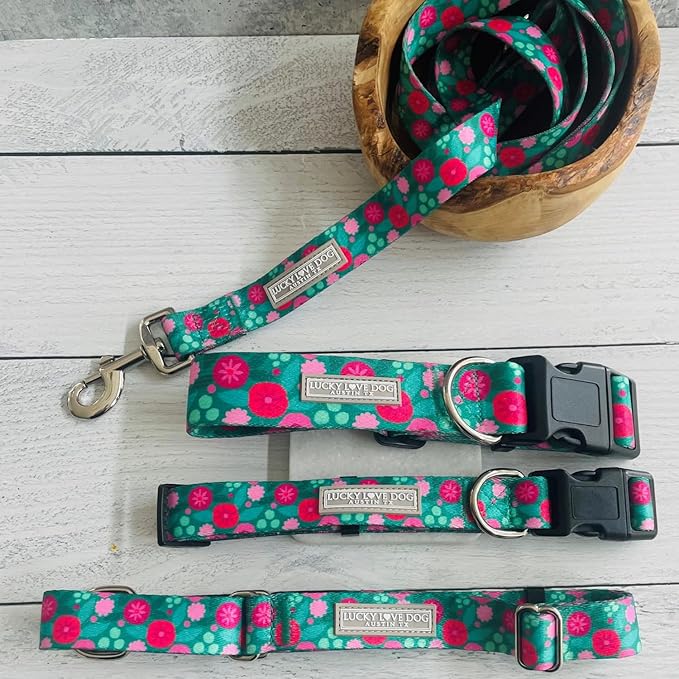 Lucky Love Dog Collars for Large Dogs Pattern,Floral Girl or Boy Dog Collar for Large Dogs, Stripes, Penny, Large