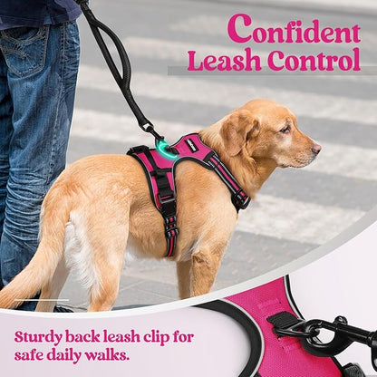 rabbitgoo Dog Harness, No-Pull Pet Harness with 2 Leash Clips, Adjustable Soft Padded Dog Vest, Reflective No-Choke Pet Oxford Vest with Easy Control Handle for Small Dogs, Hot Pink, S