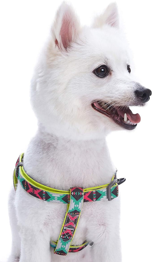 Blueberry Pet 2 Colors Soft & Comfy Step-in Southwestern Vintage Tribal Print Padded Dog Harness, Chest Girth 23.5" - 29.5", Extravagant Green, M/L, Adjustable Harnesses for Dogs