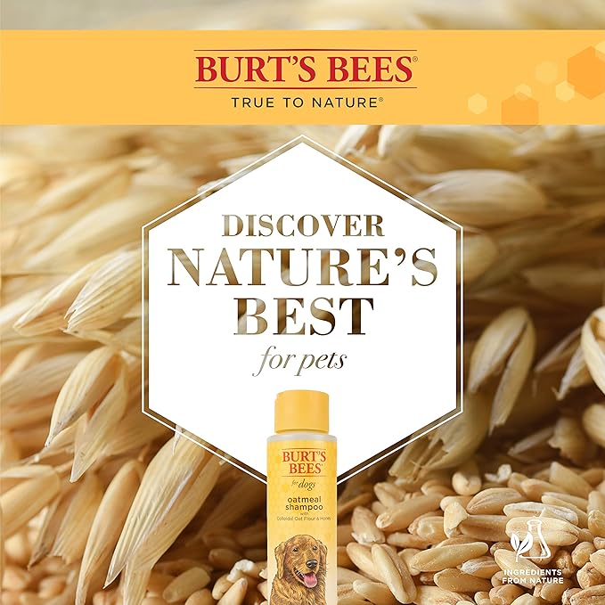Burt's Bees for Dogs Natural Oatmeal Dog Shampoo | With Colloidal Oat Flour & Honey | Cruelty Free, Sulfate & Paraben Free, pH Balanced for Dogs - Made in USA, 16 Oz - Pack of 6