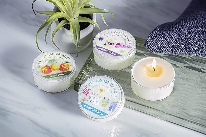 Pet House Mini Candles for Pet Odor, Plant Based, Dog and Cat Friendly Scented Candles, Lavender Green Tea Pack of 3