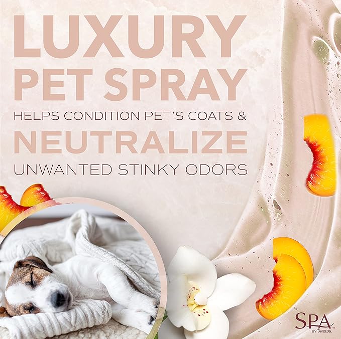 TropiClean SPA For Him Male Dog Cologne Spray Long Lasting | Sporty Scented Dog Deodorizing Spray | Naturally Derived Salon Grade Ingredients | Made in the USA | 8oz