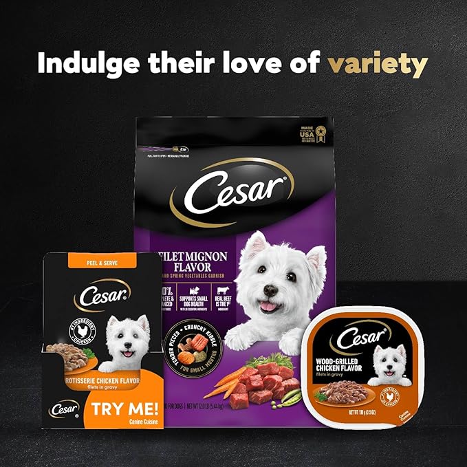 Cesar Wet Dog Food 40 Count Multipack