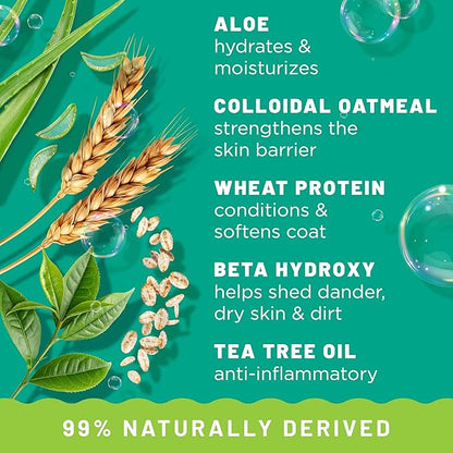 TropiClean Oatmeal Dog Shampoo for Itchy Skin Relief, Soothing Medicated Itch Relief, with Vitamin E, Puppy Safe, Made in USA, Cat Friendly, 20 oz.