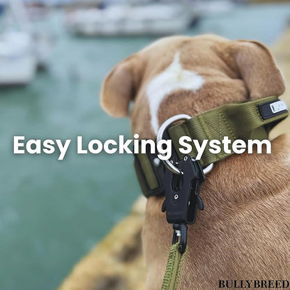 BULLYBREED Premium Dog Colar with Handle, Heavy Duty Dog Collar, Tactical Dog Collar, Quick-Release Metal Buckle, Thick Dog Collar, Dog Collar for Medium Dogs, Dog Collar for Large Dogs (Pink, Large)
