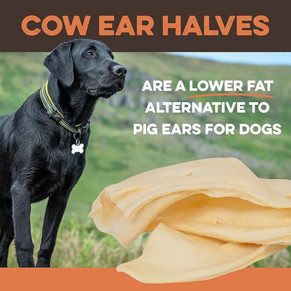 Premium Cow Ears For Dogs, Thick Cut & All-Natural Half Ears, 100% Grass Fed Beef, No Additives Or Hormones, Safe Rawhide Alternative, Great Dog Treat Alternative To Pig Ears, Bully Sticks, Dog Bones