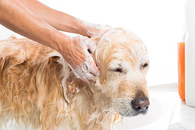 Efficient Gallon Pet Shampoo Pump Fits Most Brands Pet Shampoo Gallon Sizes and 64oz Jugs - One Pump Delivers Precise 1oz - Time-Saving Shampoo Dispenser for All Dog Sizes