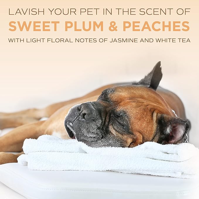 TropiClean SPA Lavish Dog Shampoo | Renew Deodorizing Dog Shampoo | Naturally Derived Salon Grade Ingredients | Made in the USA | 1 Gallon