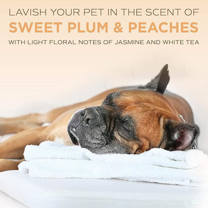 TropiClean SPA Lavish Dog Shampoo | Renew Deodorizing Dog Shampoo | Naturally Derived Salon Grade Ingredients | Made in the USA | 1 Gallon