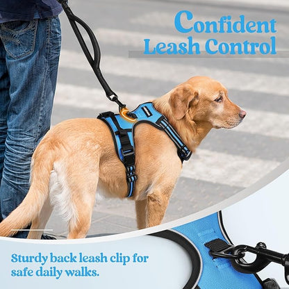 rabbitgoo Dog Harness, No-Pull Pet Harness with 2 Leash Clips, Adjustable Soft Padded Dog Vest, Reflective No-Choke Pet Oxford Vest with Easy Control Handle for Small Dogs, Blue, S