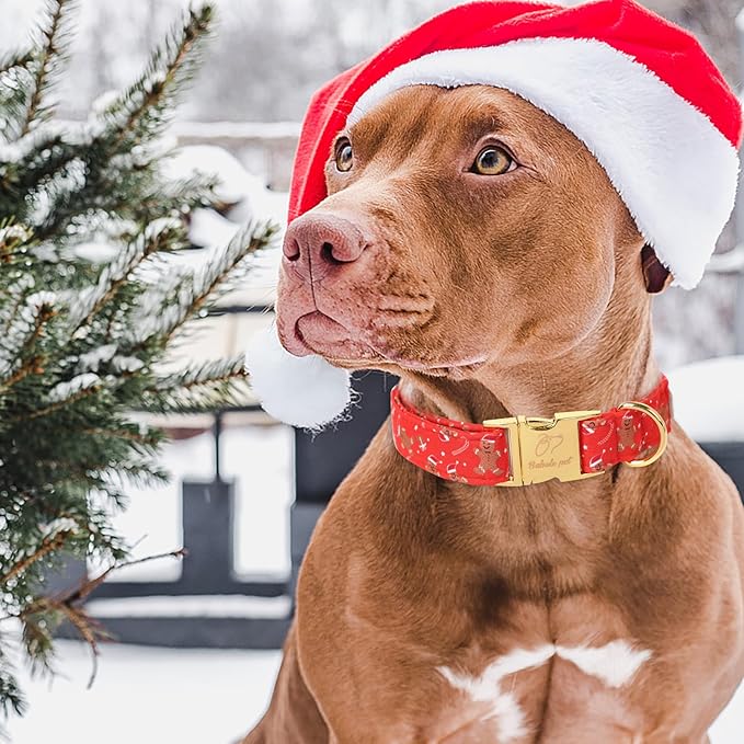 Christmas Dog Collars for Small Dog,Red Gingerbread Man Collar with Safety Metal Buckle Adjustable Puppy Collars for Medium Large Dog,Boy&Girl&Female Dog Gift,XS-8"-13"