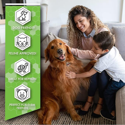 deSTINKed Pet Odor Eliminator | Spray & Play Triple-Action Formula | Safe for Fabrics, Upholstery, Carpets, & Fur | 24oz | Made in USA