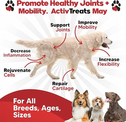 Glucosamine for Dogs Hip and Joint Supplement - Safe Joint Support for Dogs - Dog Joint Supplement with Glucosamine Chondroitin MSM Turmeric for Dogs - 120 Joint Care Chews for Dogs ActivTreats