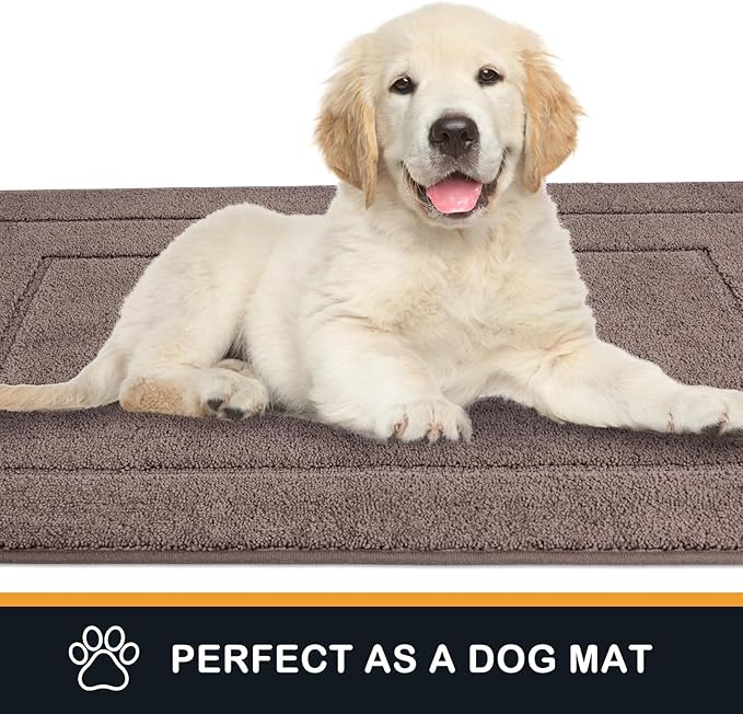 PURRUGS Dirt Trapper Door Mat 34" x 59.5", Non-Slip/Skid Machine Washable Entryway Area Rug, Dog Door Mat, Super Absorbent Welcome Mat for Muddy Wet Shoes and Paws, Grayish Brown