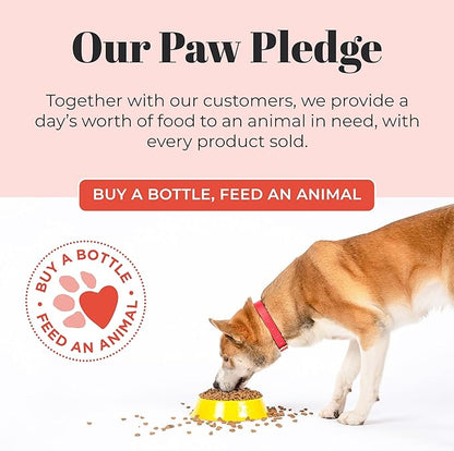 Skout's Honor Probiotic Pet Shampoo & Conditioner with Avocado Oil & Omega-3s, 97% Natural, Paraben & Sulfate-Free, Cruelty-Free, 16oz, Sunkissed Coconut