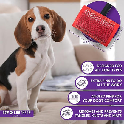 Paw Brothers Medium Slicker Brush for Doodles, Goldendoodles, Poodles - Grooming Brush for Long and Short Haired Dogs