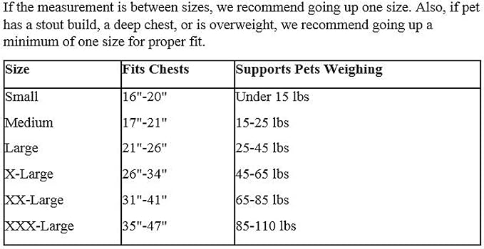 Guardian Gear Nylon Lift & Lead 4-in-1 Dog Harness, Large, Blue