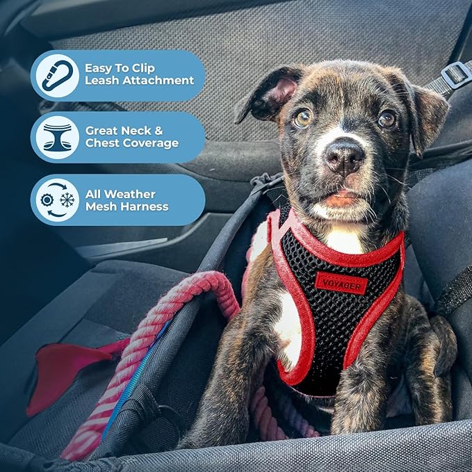 Voyager Step-in Air Dog Harness - All Weather Mesh, Reflective, No Pull Harness for Small, Medium Dogs, Cats - Secure with Hook & Loop Fastener, Buckle, Double D-Rings - Black/Red Trim, L