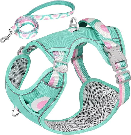 No Pull Dog Harness and Leash Set,Reflective Dog Harness with Easy Control Soft Handle,Adjustable and Comfortable for Easy Walking,Fit Small Medium Large Breed Dogs,Blue,L