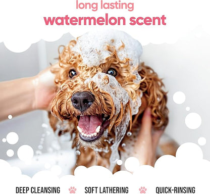 Watermelon Dog Shampoo | For Smelly Dogs From 8 Weeks | Henry's House Scented Puppy With Aloe Vera & Pro Vitamin B5 (50.72oz)