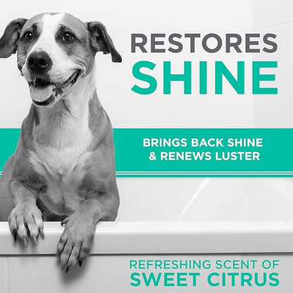 TropiClean Perfect Fur Deshedding Dog Shampoo for Breeds with Smooth Coats like Boxers, Bulldogs, Pointers, and Greyhounds, Natural Moisturizing Shampoo for Dry Flaky Skin, Puppy Safe, 16oz.