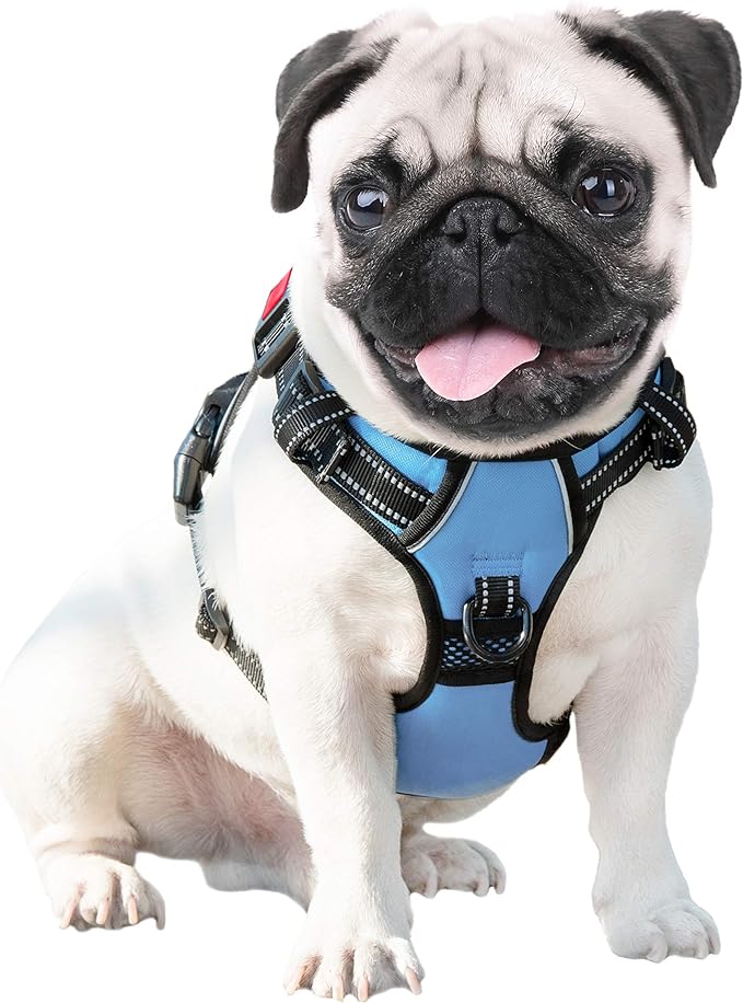 PHOEPET No Pull Dog Harness Reflective Adjustable Vest with a Training Handle, Name ID Pocket, 2 Metal Leash Hooks, 3 Snap Buckles [Easy to Put on & Take Off](XS, Baby Blue)
