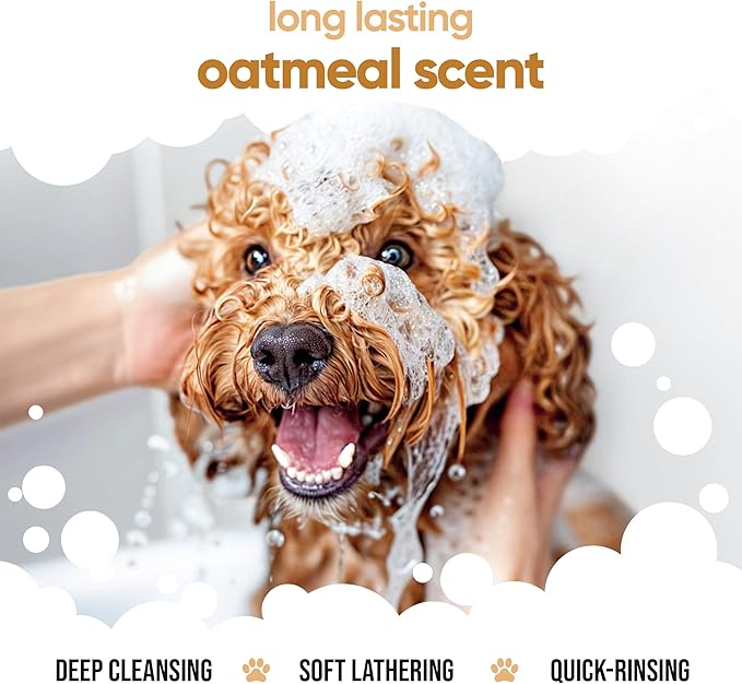 Oatmeal Dog Shampoo by Buddycare | Shampoo for Dogs with Irritated Skin | Relieving and Rehydrating | with Aloe Vera and Pro Vitamin B5 (169.07oz)
