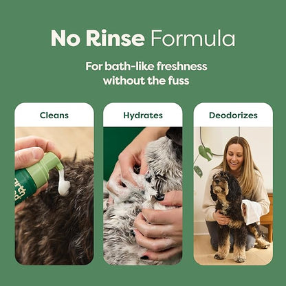 Earth Rated Waterless Dog Shampoo, Convenient No-Rinse Wash for Cleaning, Conditioning & Detangling, for All Coat Types, Refreshing White Tea and Basil Scent, 7 oz